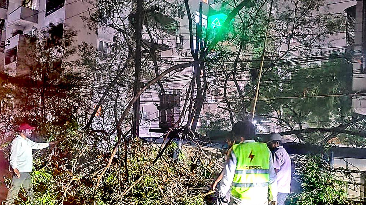 Telangana Monsoon | Electricity Dept staff directed to patrol areas with good tree cover as branches falling on power lines disrupt supply
