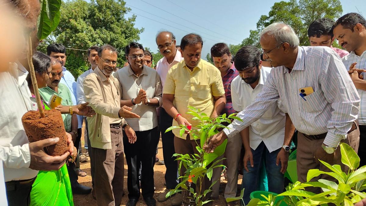 CESC launches green drive to mark World Environment Day
