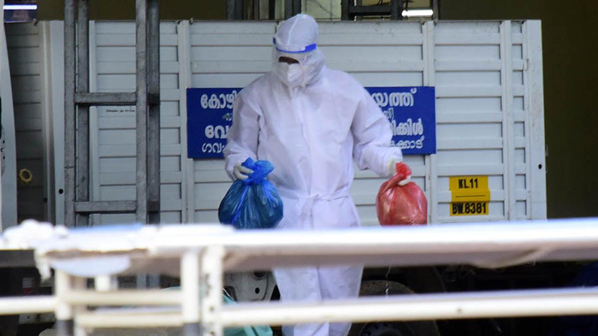 Épidémie du virus Kerala Nipah : que sont les anticorps monoclonaux ?  |  Expliqué