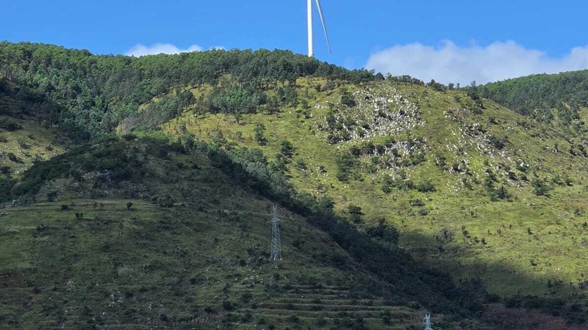 China’s story of rural revitalisation