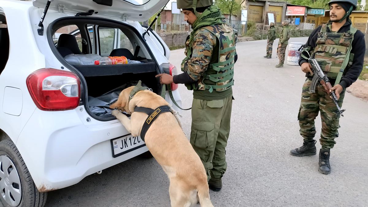 Poonch attack | Search operation intensified in Jammu for terrorists responsible for killing of IAF corporal, village guard