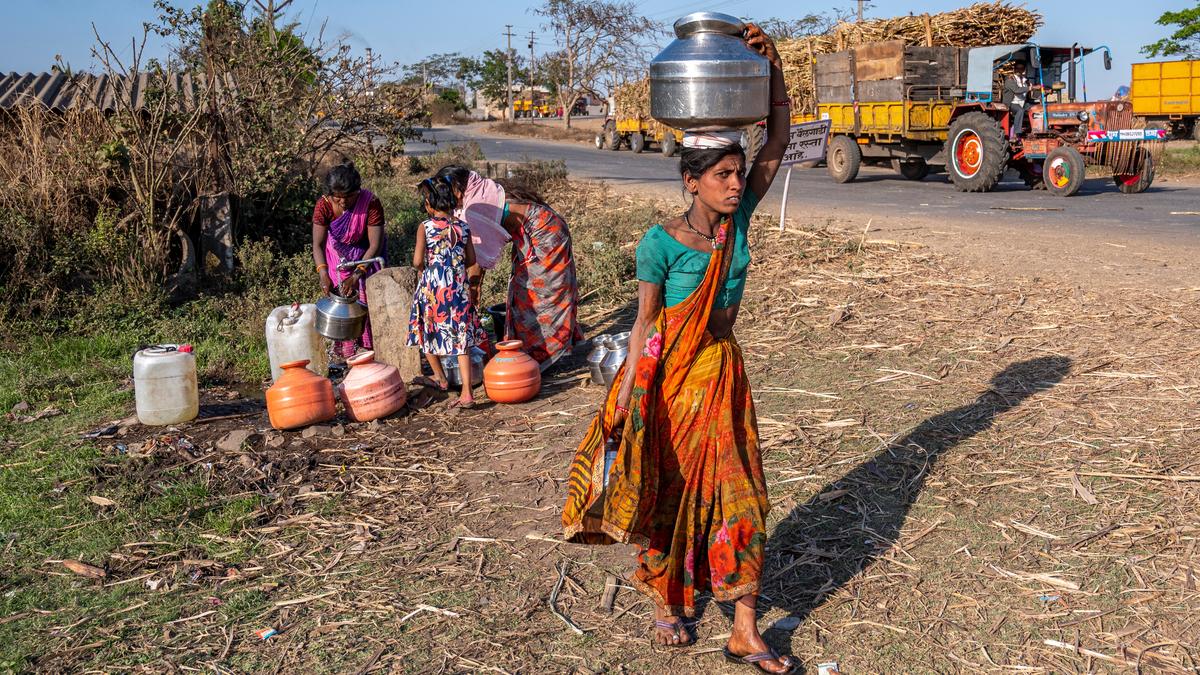 Watch | The daily struggles of Maharashtra’s sugar-belt workers