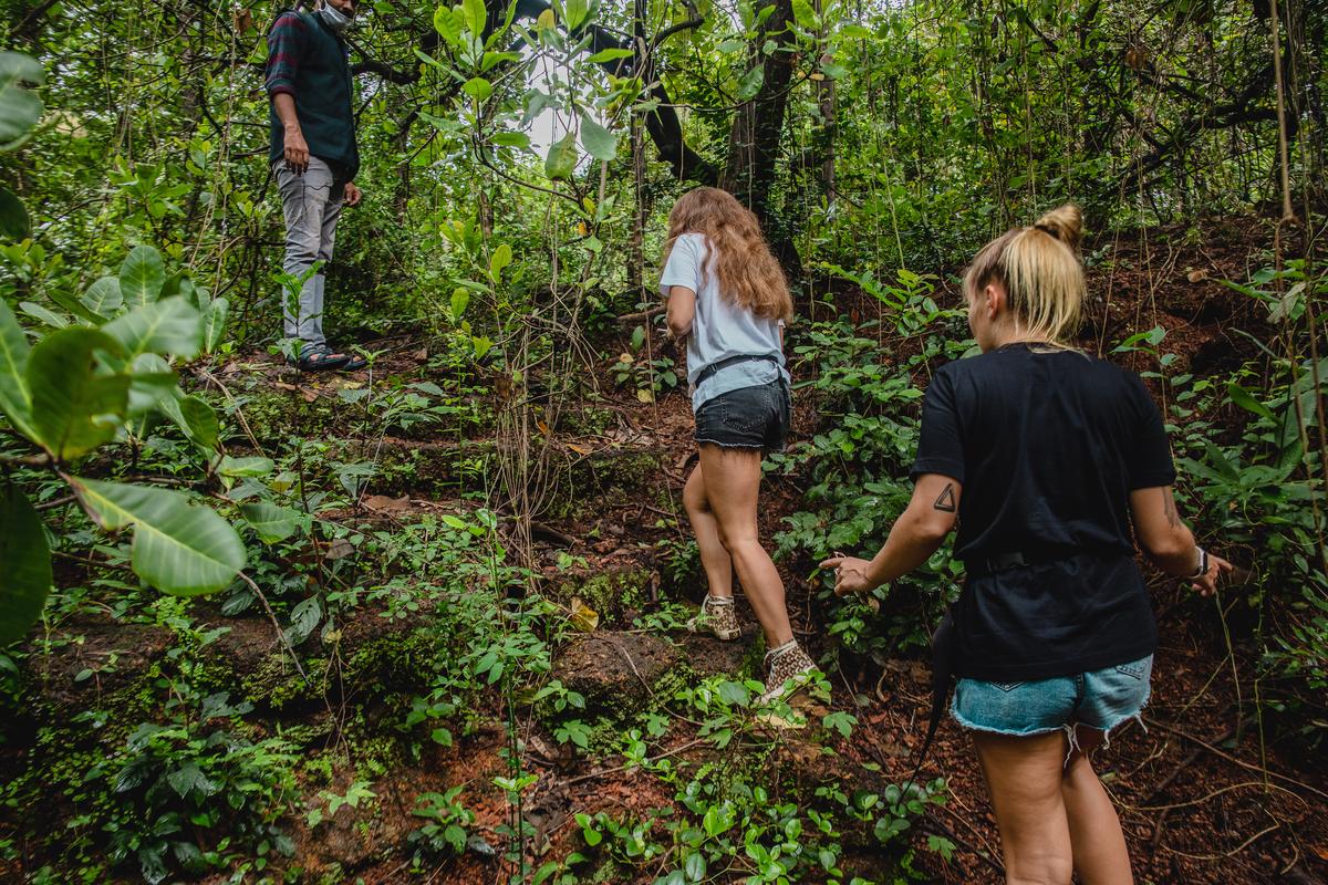 Nature trail