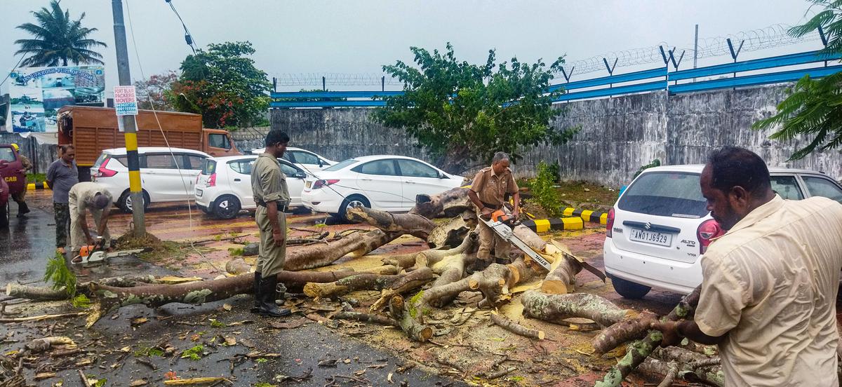 एक त्वरित प्रतिक्रिया आपदा प्रबंधन टीम 10 मई, 2023 को पोर्ट ब्लेयर में वीर सावरकर अंतर्राष्ट्रीय हवाई अड्डे पर चक्रवात मोचा के कारण तूफान में गिरे एक पेड़ को हटाती हुई। 