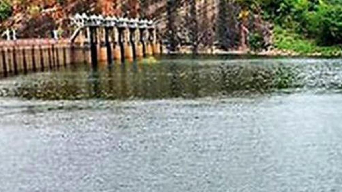 Water level in Papanasam dam stands at 133.85 feet
