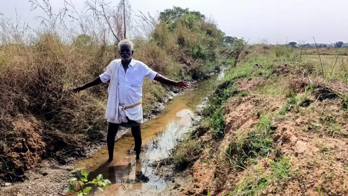 Farmers in Kancheepuram district say they have no water due to clogged channel of irrigation tank