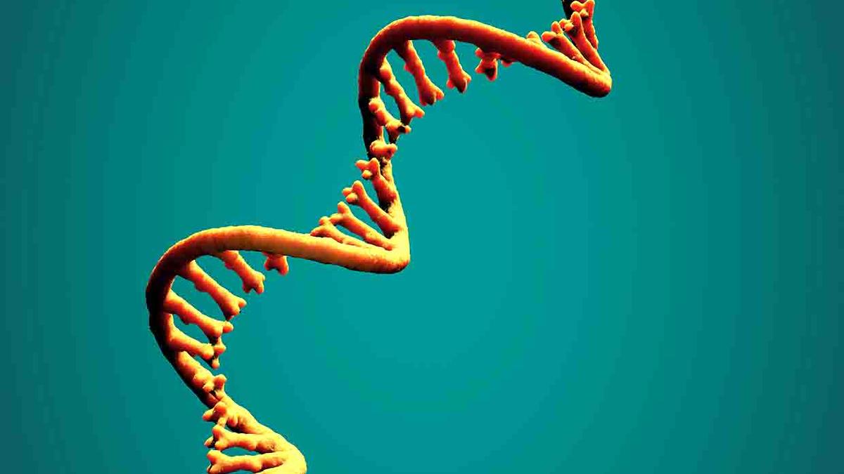 What is extracellular RNA?