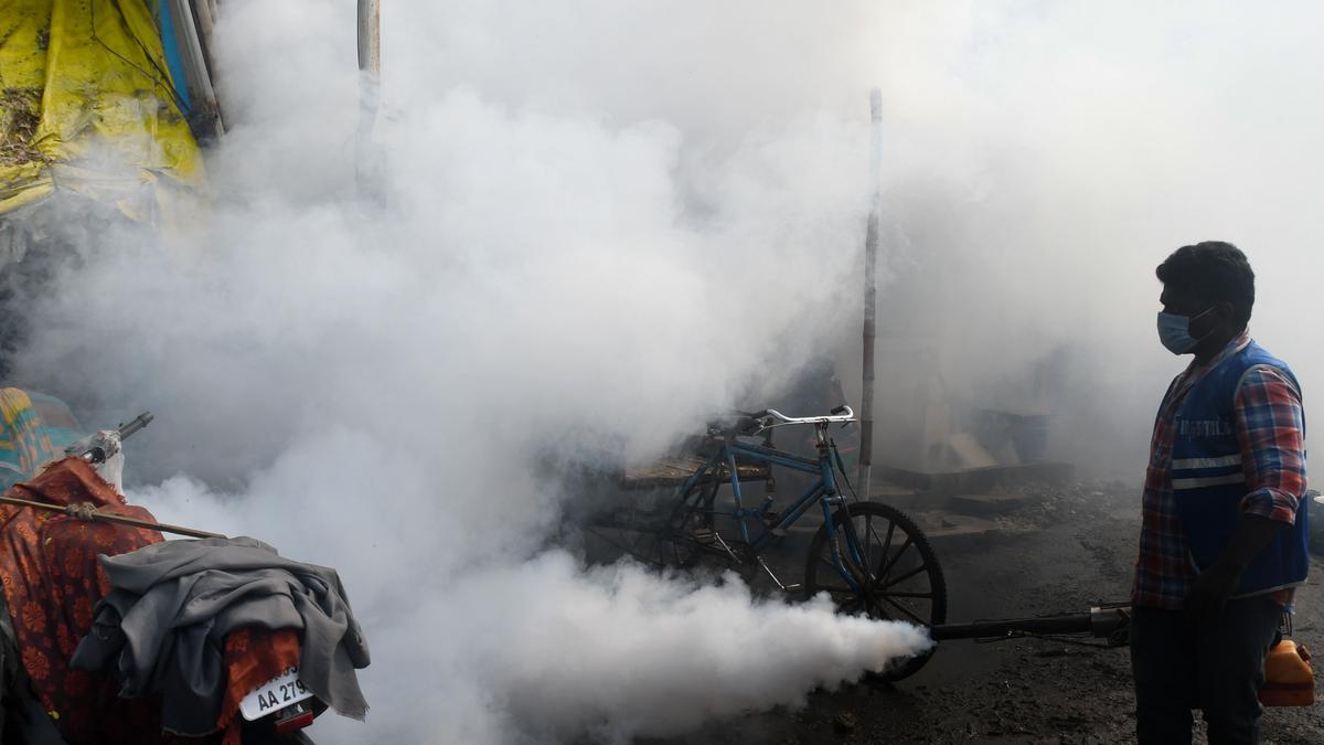 Kancheepuram Corporation takes up intensive fogging operation to prevent spread of dengue