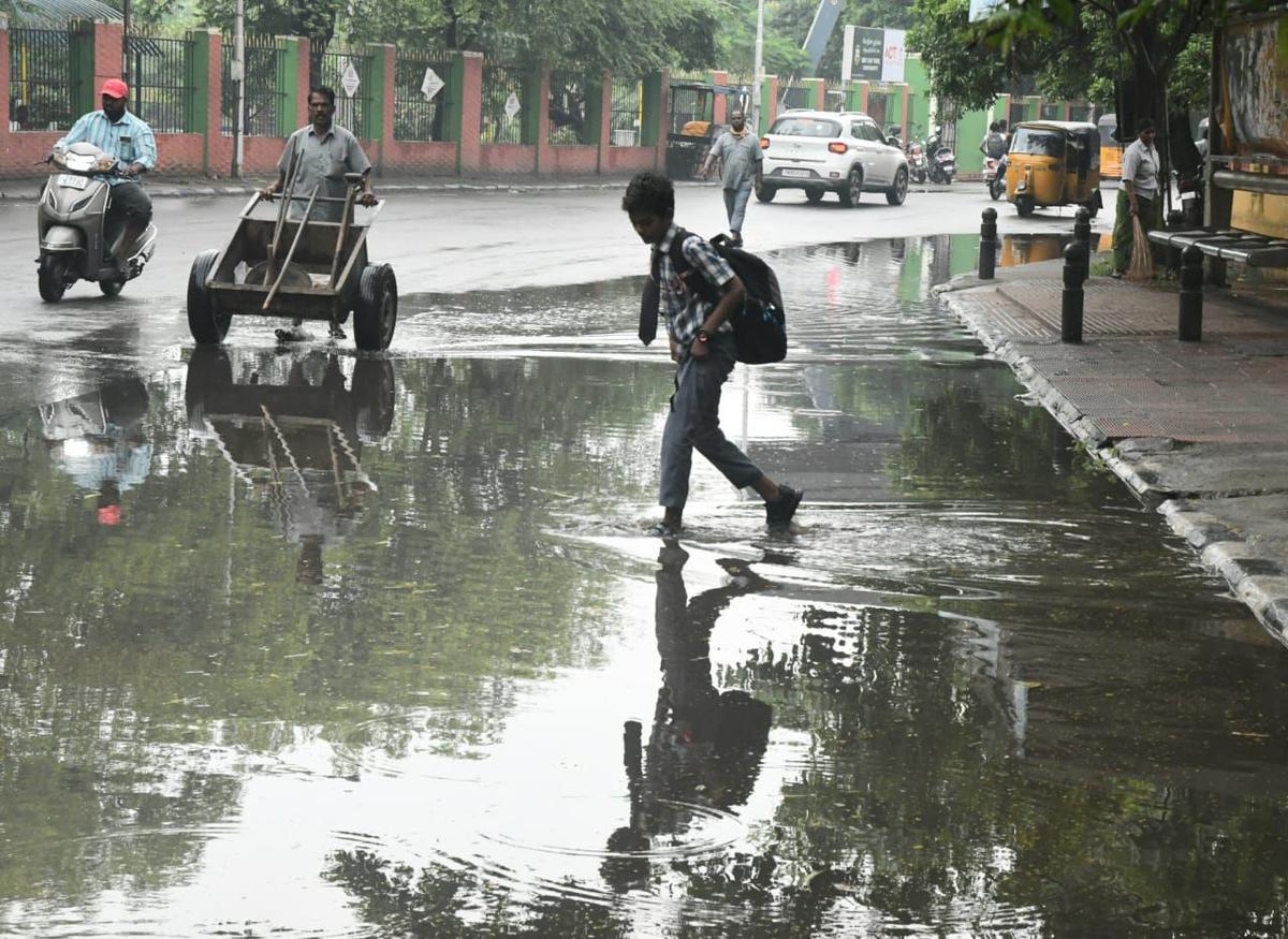 Rain for coastal districts in T.N. until November 4