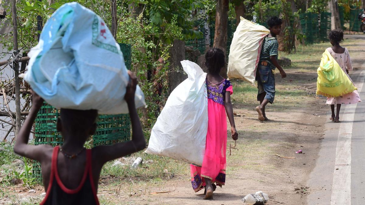 315 child labourers, street children rescued during raids in Andhra Pradesh