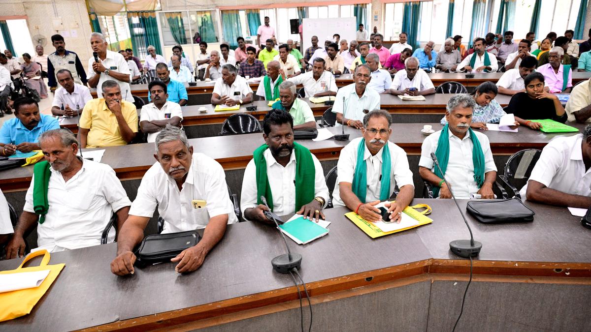 Farmers want more allocation for country chicken farms in Dindigul