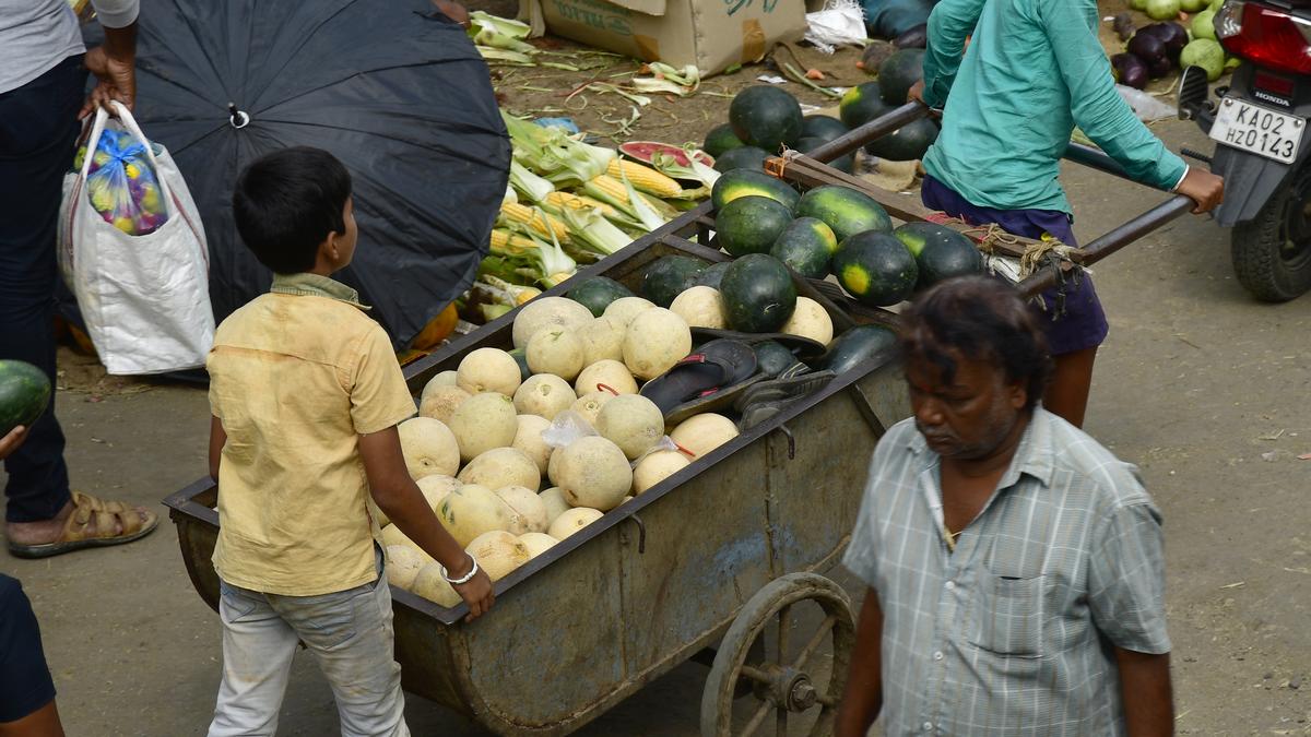 BBMP to distribute electric street vending vehicles at 90% subsidy in Bengaluru