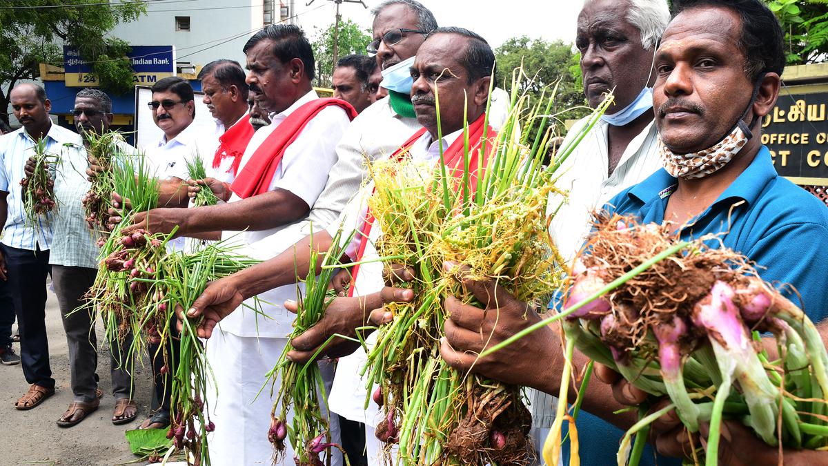 Farmers demand cold storage facility in Coimbatore - The Hindu