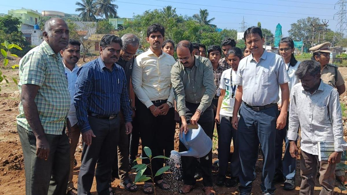 8,000 native saplings to turn two acre in Coimbatore into ‘Kurinji Vanam’