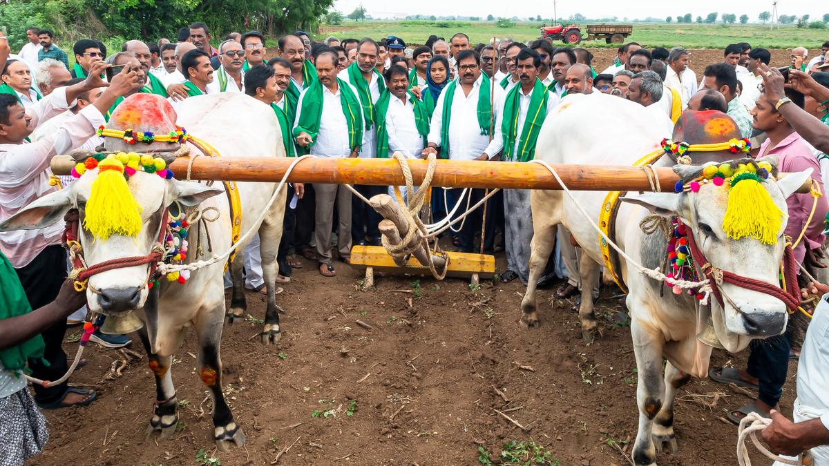 ₹146 crore allocated to offer agricultural equipment to farmers on subsidy: A.P. Social Welfare Minister