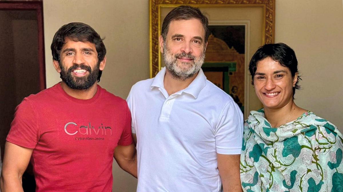 Vinesh Phogat, Bajrang Punia meet Rahul Gandhi amid speculation over contesting Haryana polls