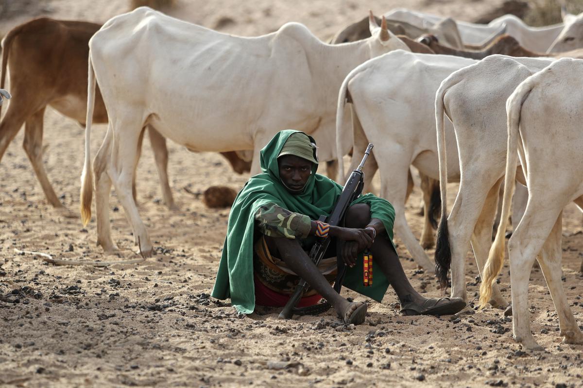 In brutal drought, Kenyan herders look for hope underground