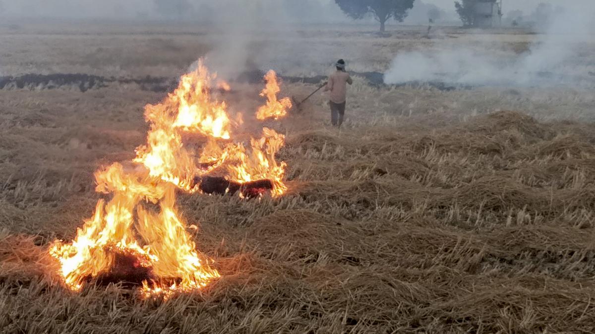 Delhi Air Quality: Centre doubles fines for stubble burning