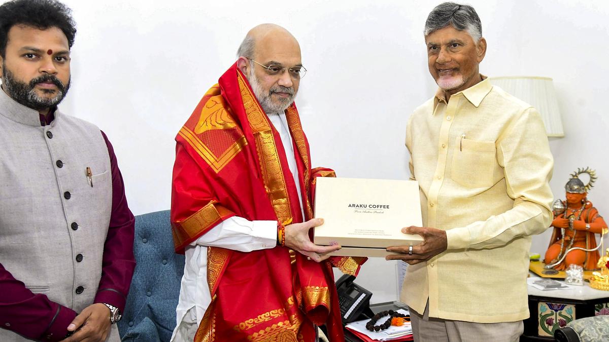 Chandrababu Naidu seeks Centre’s support for various projects, approval for A.P. Land Grabbing Prohibition Bill