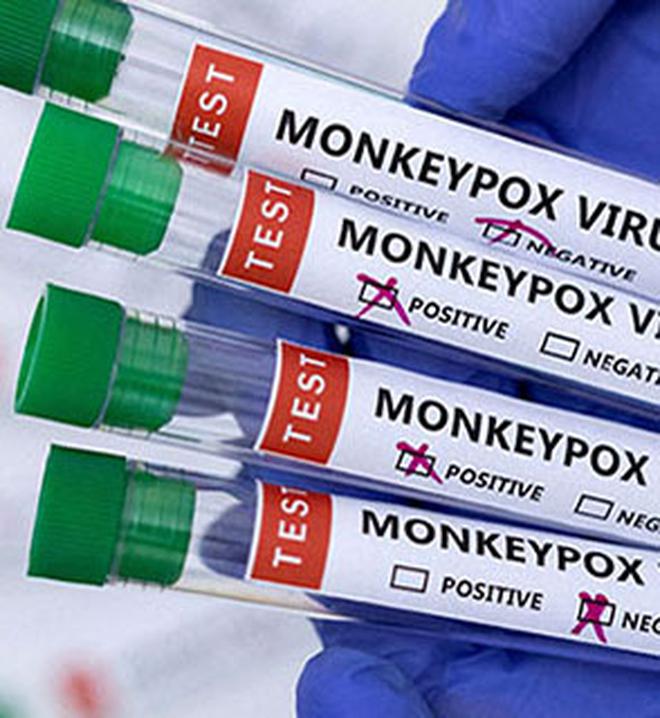 
Explained | A recap of the monkeypox outbreak 
