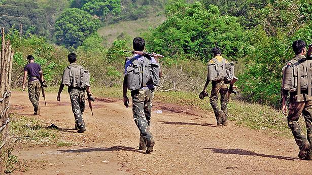 Greyhounds in search of home