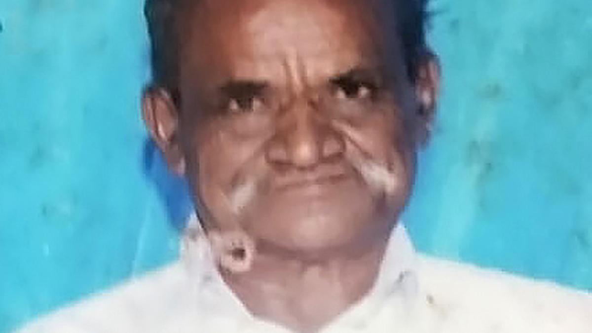 Senior citizen dies in suspected stray dog attack in Bengaluru