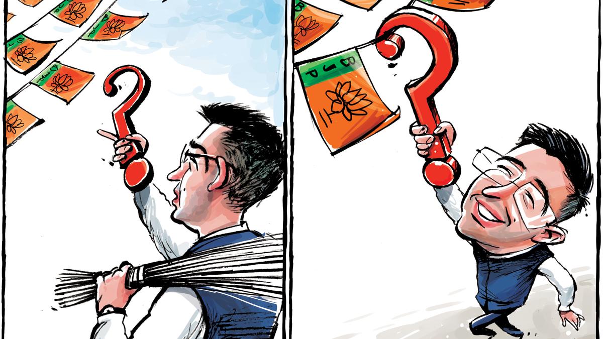 On the draw — April 25, 2026