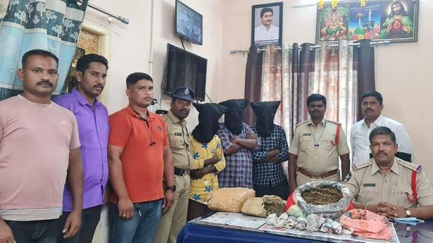 Andhra Pradesh: ₹4 lakh worth ganja seized in Madanapalle, 3 held