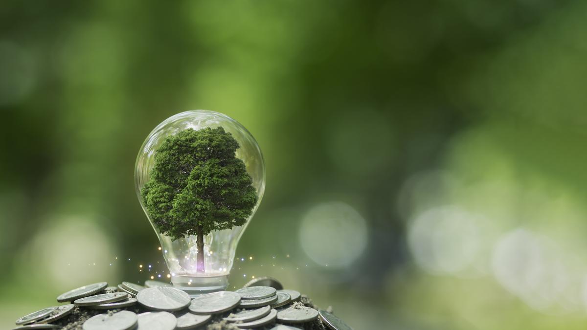 Net zero carbon campaign progressing in 152 local bodies