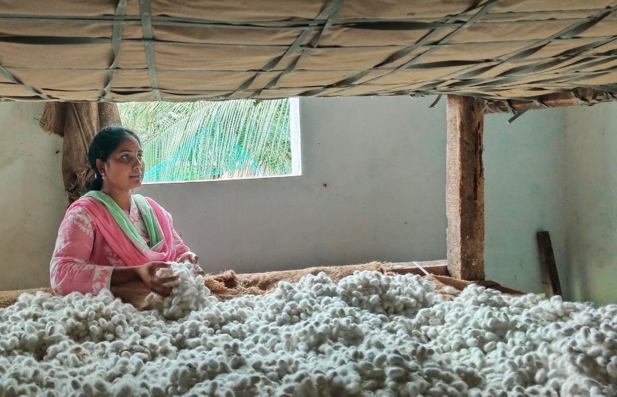 
Central Silk Board scientist E. Bhuvaneswari.