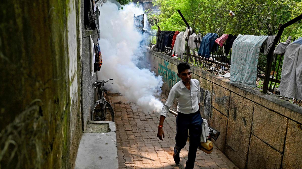 Are Delhi's fumigation and awareness efforts enough to curb the dengue surge, or do citizens share the responsibility?