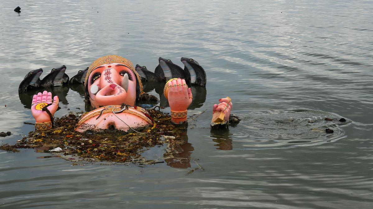 Telangana HC expresses displeasure over last-minute petition on idol immersion ban