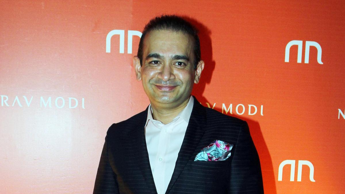 Nirav Modi, Mehul Choksi, Vijay Mallya fled India as probe agencies did not arrest them at proper time: Court