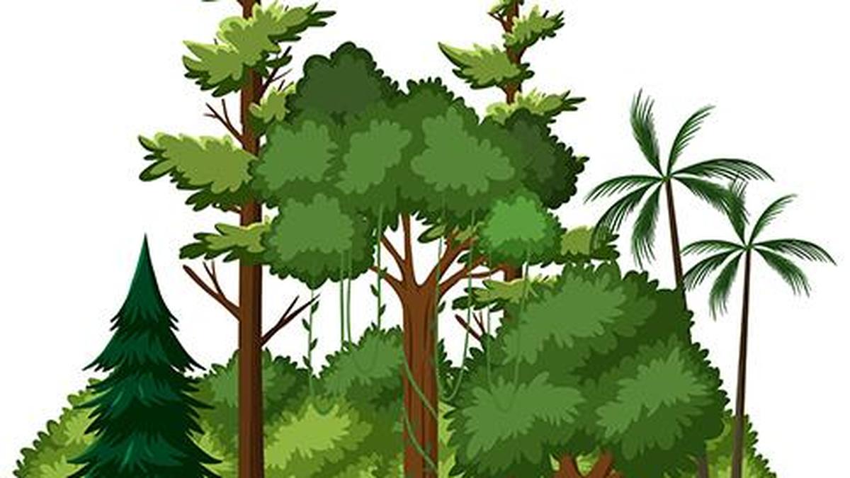 MGP backs BEML OHC, calls for alternative to tree felling