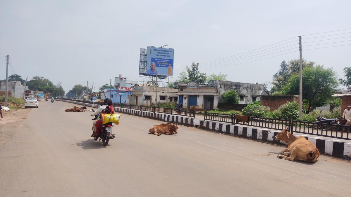 Over 33,700 died in road accidents in Chhattisgarh between 2019 and 2024, says State govt.