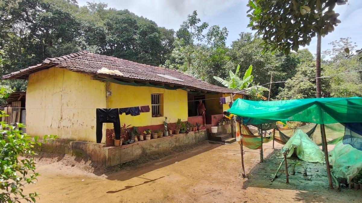 Karnataka Cabinet approves relocation of 16 families of Saragodu forest in Mudigere taluk of Chikkamagaluru