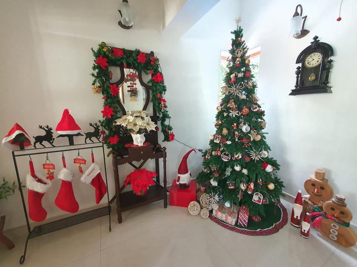A 24-year-old Christmas tree is the star in Sachu Baiju’s home in Thiruvananthapuram. 