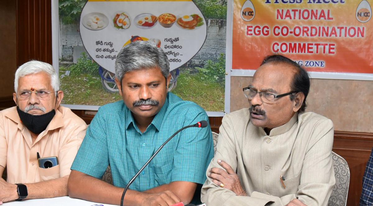 Carts to dish out egg delicacies to food lovers and jobs to youth in Vizag