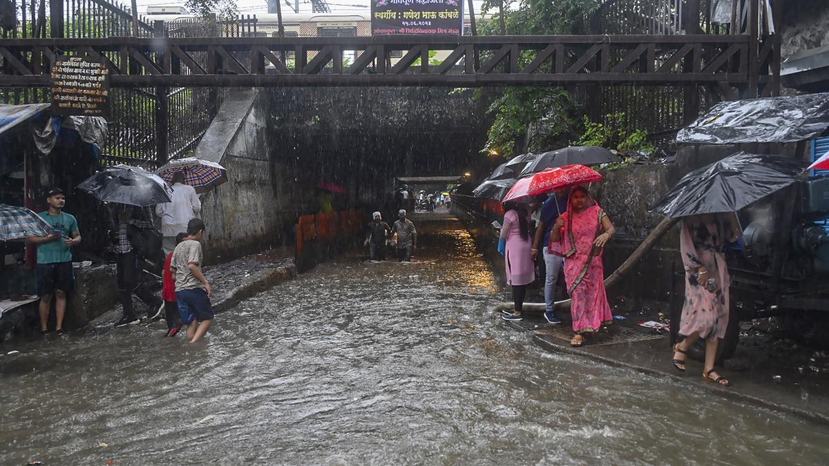 Crowdsourced data from Twitter help identify flooded areas in real time
Premium