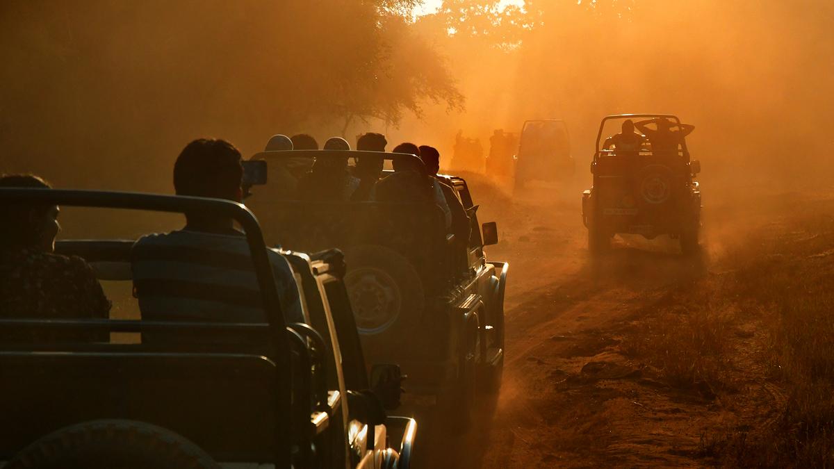 Brothers accused of ₹12 crore fraud in online booking contract at tiger reserve in Maharashtra