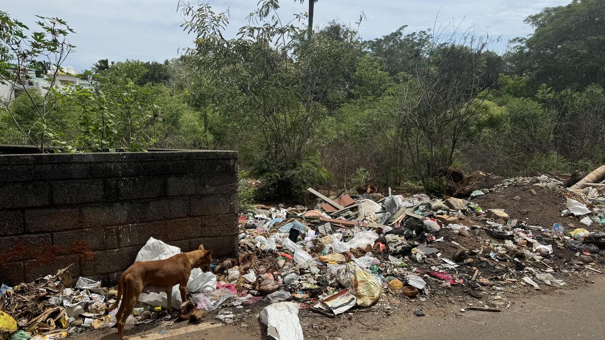 Canal-side waste dumping troubles residents on Keela Vannanvilai-CTM Puram road, under Nagercoil corporation