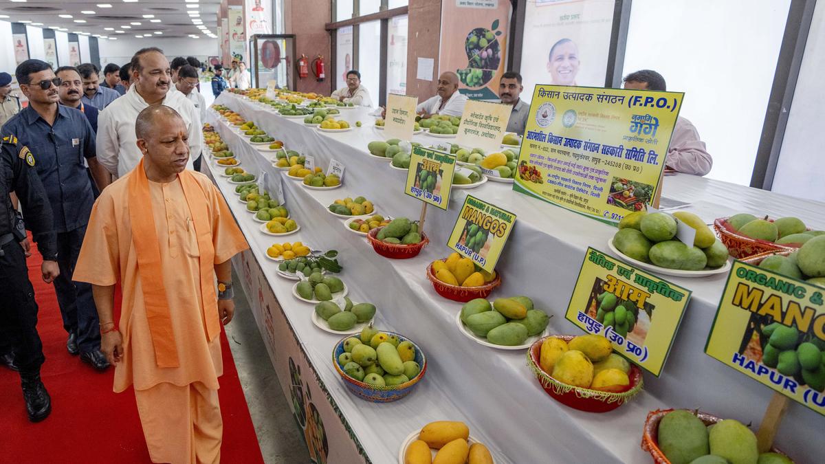 CM Adityanath inaugurates Uttar Pradesh mango festival