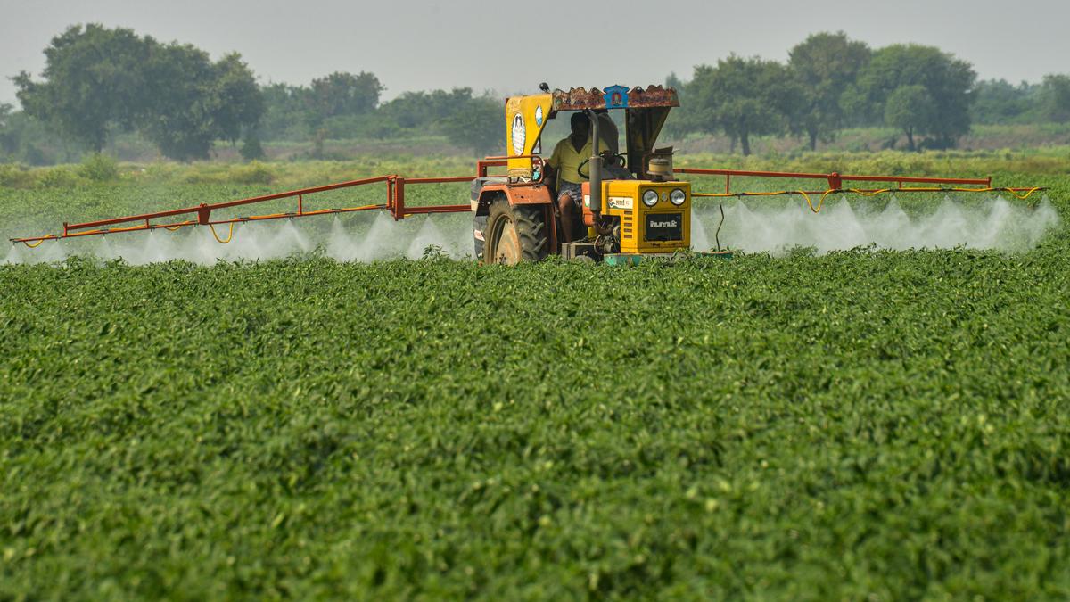 Govt hopeful of ‘bountiful harvest’ amid food inflation headwinds