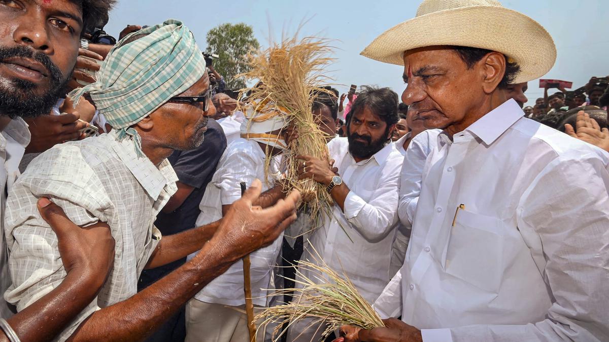 Drought stirs political clash in Telangana
Premium