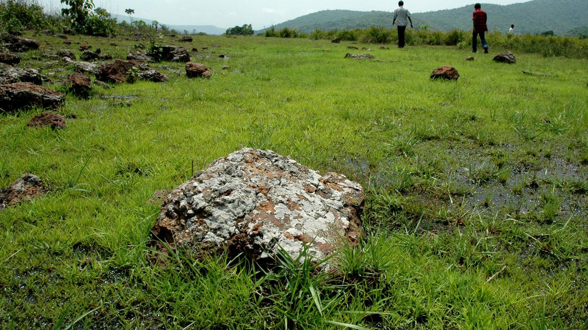 Illegal bauxite mining in Jharkhand: NGT forms panel, seeks report