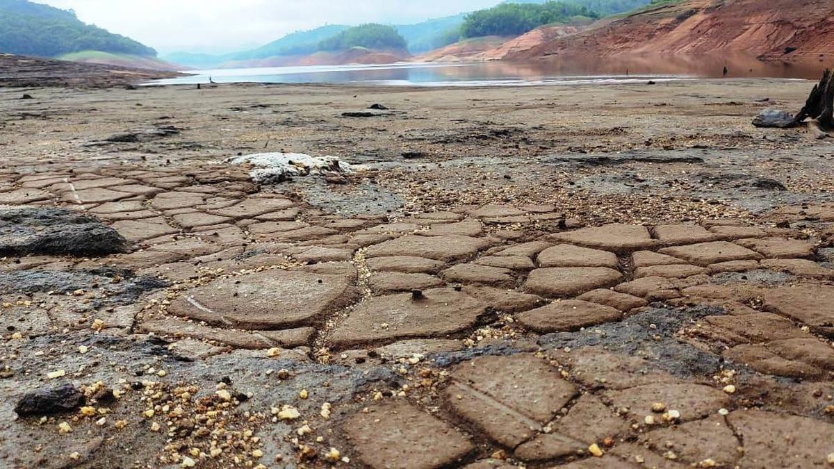 KSEB decides to maintain maximum water level in hydel dams