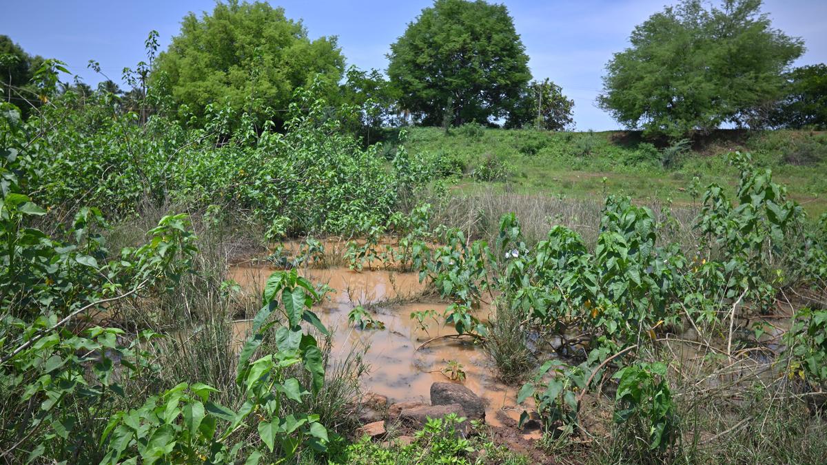 Govt. reverses restrictions for extracting alluvial soil from waterbodies