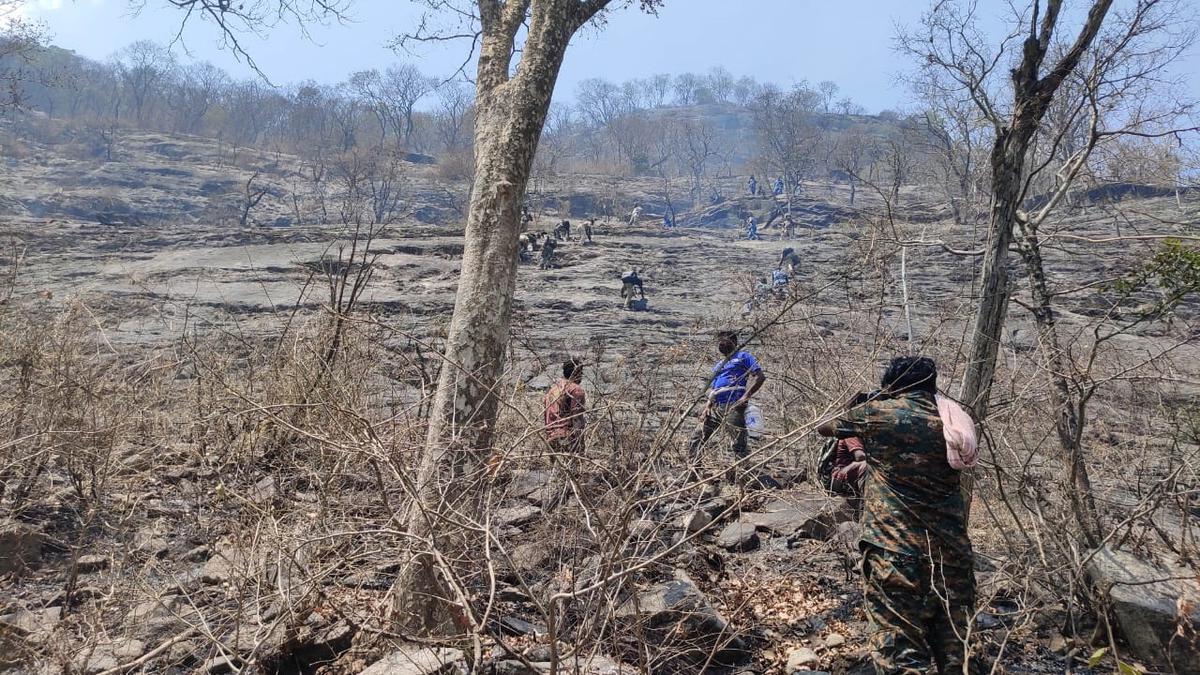 200 hectare of forest affected by Madukkarai fire: Minister