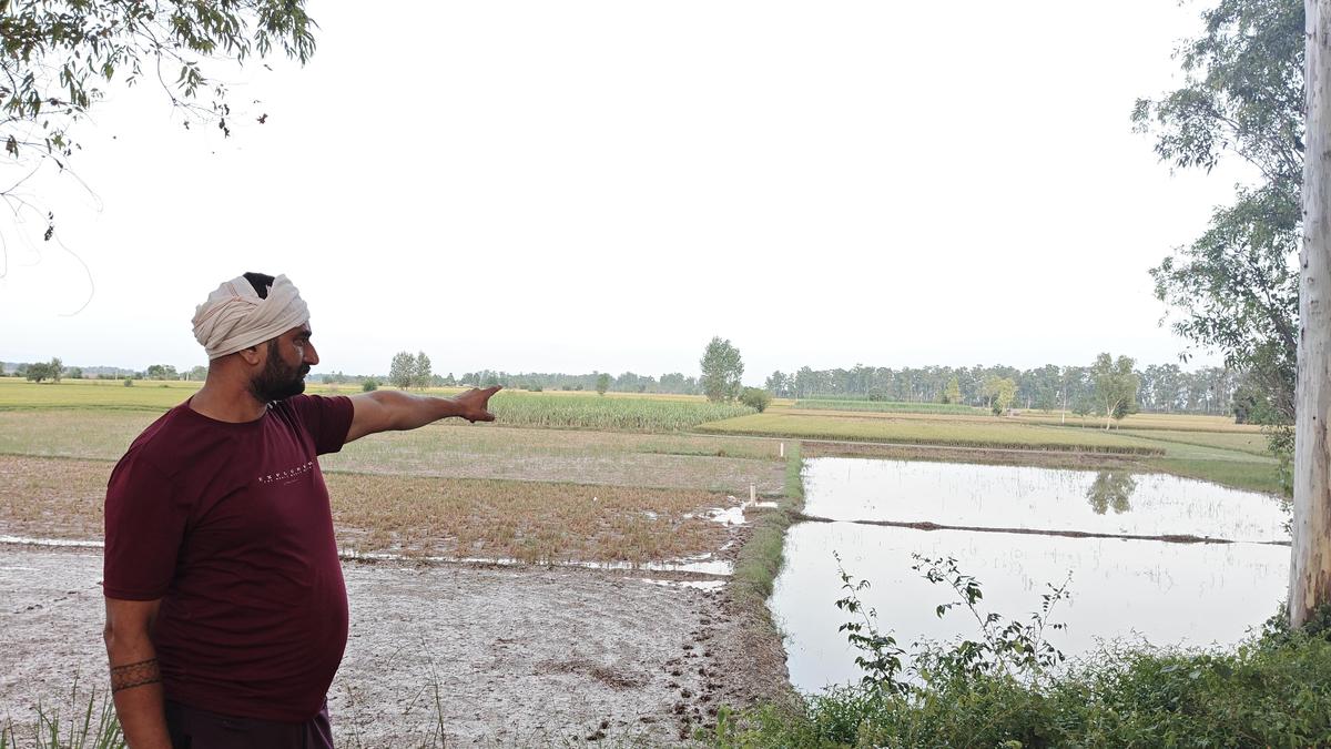 Delhi cabinet approves ₹75,000 per hectare relief for farmers hit by heavy rain