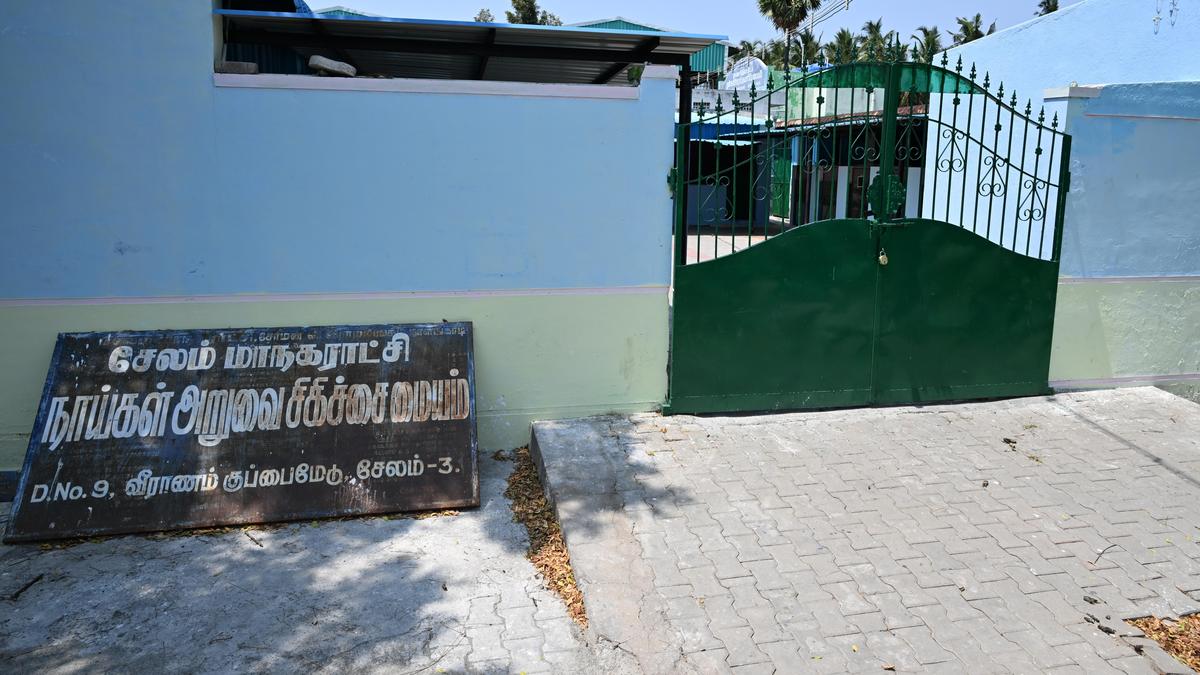 Three ABC centres in Salem expected to control stray dog menace soon